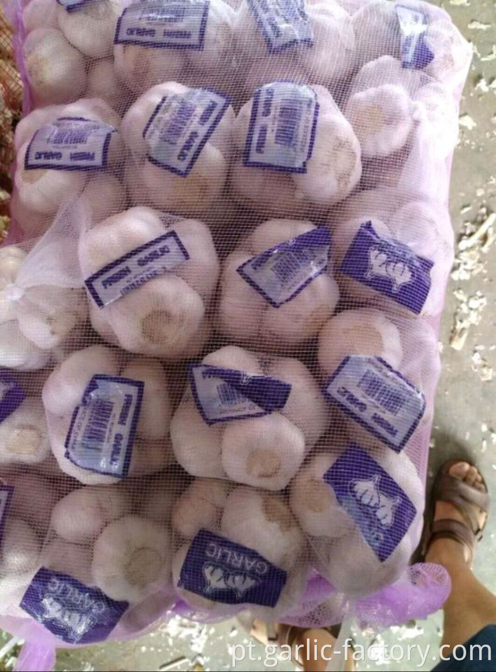 Garlic wholesale Hot sales